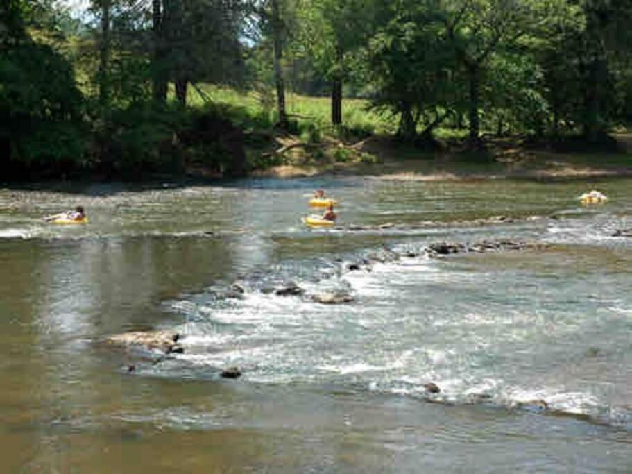 Riverside Relaxer W/Hot Tub+Fire Pit +Wifi & View Franklin Exteriér fotografie